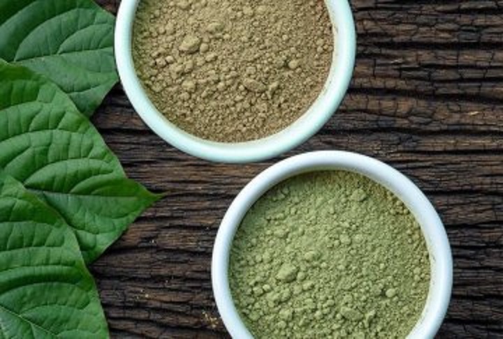 Kratom, který má svůj původ